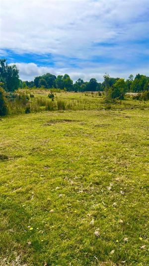 Parcela en Venta en Pargua, Los Lagos, Calbuco, foto 7