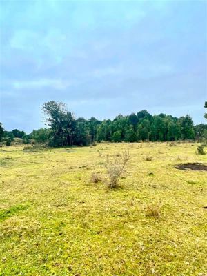 Parcela en Venta en Pargua, Los Lagos, Calbuco, foto 13