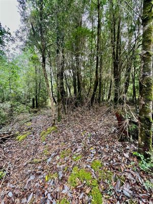 Parcela en Venta en Pargua, Los Lagos, Calbuco, foto 10