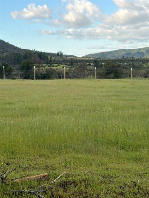 Parcela en Venta en Cauquenes, Maule, Cauquenes, foto 11
