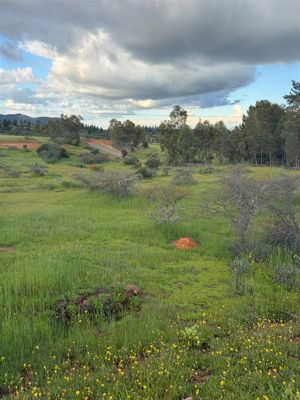 Parcela en Venta en Cauquenes, Maule, Cauquenes, foto 10