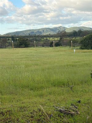 Parcela en Venta en Cauquenes, Maule, Cauquenes, foto 14