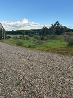 Parcela en Venta en Cauquenes, Maule, Cauquenes, foto 12