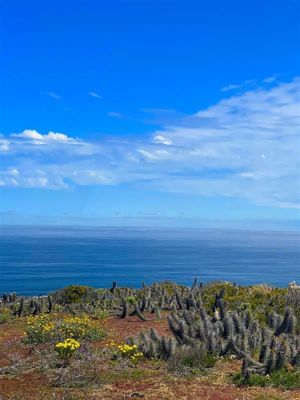 Parcela en Venta en OVALLE, Coquimbo, Ovalle, foto 7