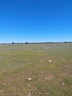 Parcela en Venta en Litueche, Bernardo OHiggins, Litueche, foto 4