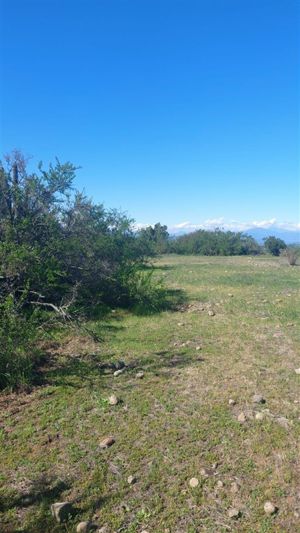 Parcela en Venta en Litueche, Bernardo OHiggins, Litueche, foto 6