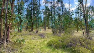 Parcela en Venta en j-80, Maule, Vichuquén, foto 7