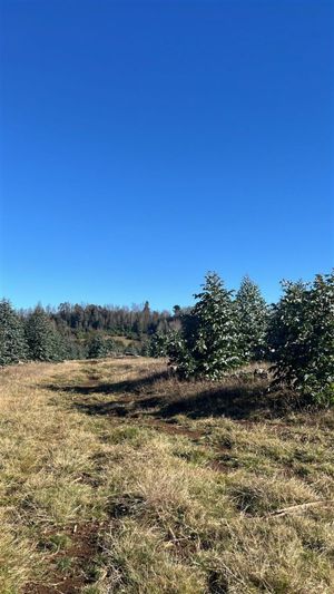 Parcela en Venta en FRESIA, Los Lagos, Fresia, foto 8