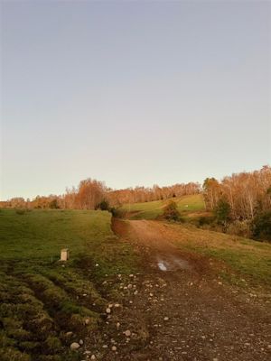 Parcela en Venta en FRESIA, Los Lagos, Fresia, foto 4