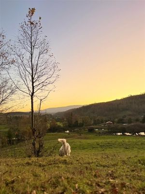 Parcela en Venta en FRESIA, Los Lagos, Fresia, foto 5