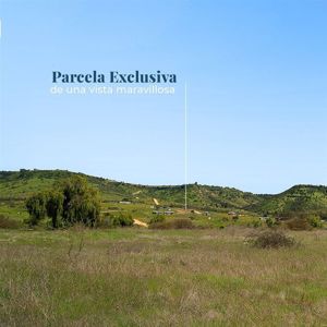 Parcela en Venta en A pasos del centro Central Rapel, Bernardo OHiggins, Litueche, foto 4