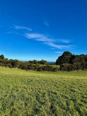Parcela en Venta en Playa Venado, Los Lagos, Puerto Varas, foto 6