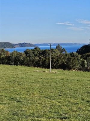 Parcela en Venta en Playa Venado, Los Lagos, Puerto Varas, foto 14