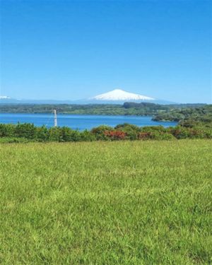 Parcela en Venta en u-775, Los Lagos, Puyehue, foto 4