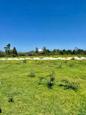 Parcela en Venta en u-775, Los Lagos, Puyehue, foto 14