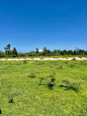 Parcela en Venta en u-775, Los Lagos, Puyehue, foto 10