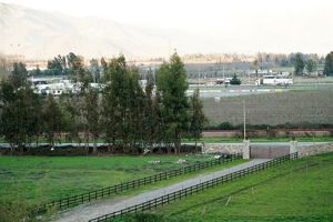 Parcela en Venta en San Fernando, Bernardo OHiggins, San Fernando, foto 14
