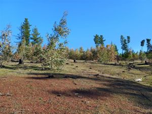 Parcela en Venta en Cauquenes, Maule, Cauquenes, foto 9