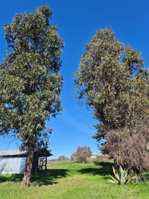 Parcela en Venta en CHILLÁN, Ñuble, Chillán, foto 7