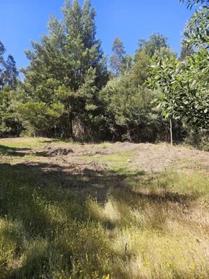 Parcela en Venta en curepto, Maule, Curepto, foto 7