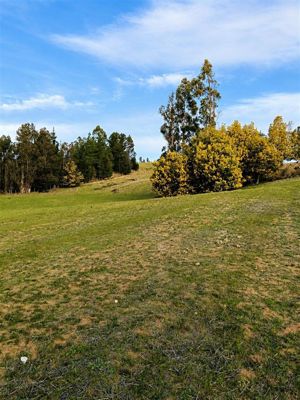 Parcela en Venta en BUCALEMU, Bernardo OHiggins, Paredones, foto 5