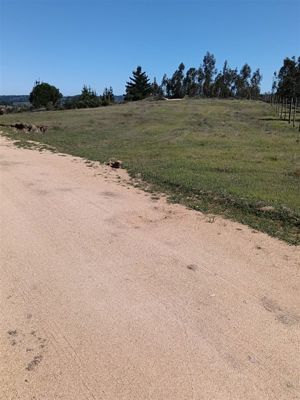Parcela en Venta en BUCALEMU, Bernardo OHiggins, Paredones, foto 7