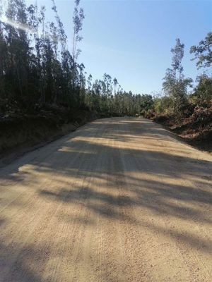 Parcela en Venta en PAREDONES, Bernardo OHiggins, Paredones, foto 10