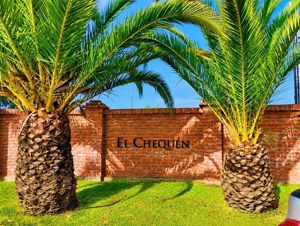 Parcela en Venta en MARCHIGUE, Bernardo OHiggins, Marchigüe, foto 12