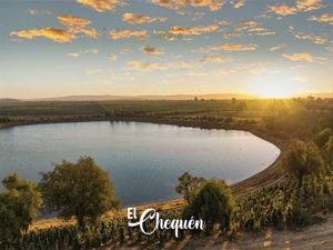 Parcela en Venta en MARCHIGUE, Bernardo OHiggins, Marchigüe, foto 3