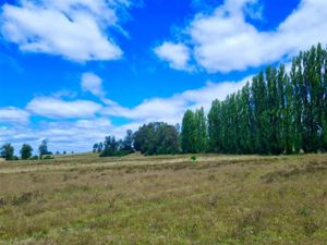 Parcela en Venta en u-490, Los Lagos, Osorno, foto 10