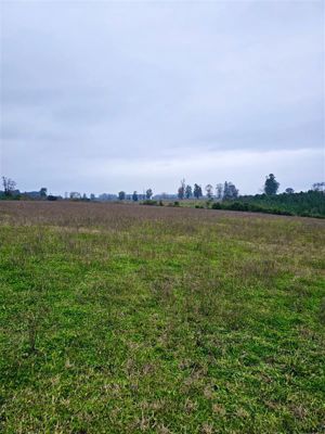 Parcela en Venta en u-490, Los Lagos, Osorno, foto 14
