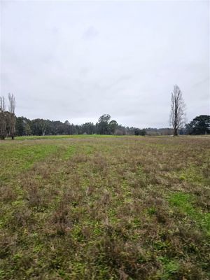 Parcela en Venta en u-490, Los Lagos, Osorno, foto 11