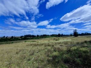 Parcela en Venta en u-490, Los Lagos, Osorno, foto 6