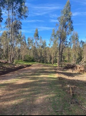 Parcela en Venta en MATANZAS, Bernardo OHiggins, Navidad, foto 8
