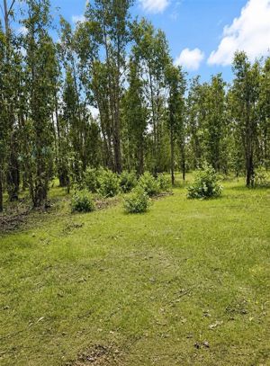 Parcela en Venta en MATANZAS, Bernardo OHiggins, Navidad, foto 6