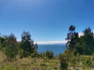 Parcela en Venta en v-875, Los Lagos, Hualaihue, foto 6