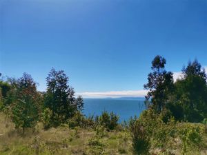 Parcela en Venta en v-875, Los Lagos, Hualaihue, foto 5