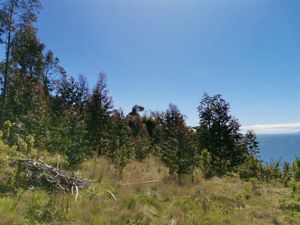 Parcela en Venta en v-875, Los Lagos, Hualaihue, foto 13