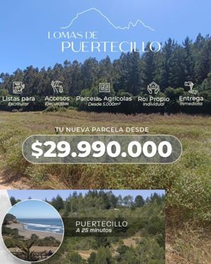 Parcela en Venta en Puertecillo, Bernardo OHiggins, Navidad, foto 6