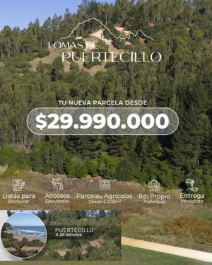 Parcela en Venta en Puertecillo, Bernardo OHiggins, Navidad, foto 5