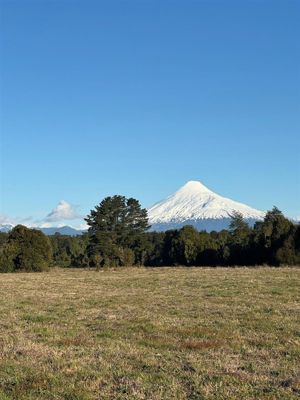 Parcela en Venta en Puerto Octay, Los Lagos, Puerto Octay, foto 8