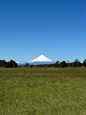 Parcela en Venta en Puerto Octay, Los Lagos, Puerto Octay, foto 7