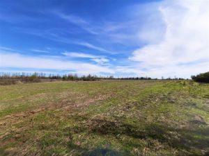 Parcela en Venta en La Amalia, Maule, Longaví, foto 9