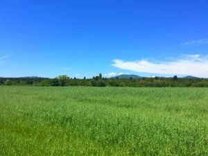 Parcela en Venta en La Amalia, Maule, Longaví, foto 14