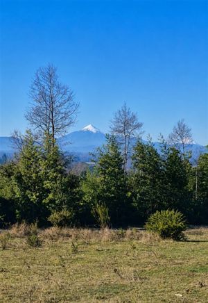 Parcela en Venta en Villarrica, La Araucanía, Villarrica, foto 1