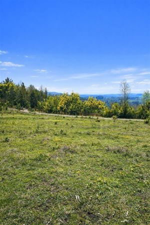 Parcela en Venta en Villarrica, La Araucanía, Villarrica, foto 11