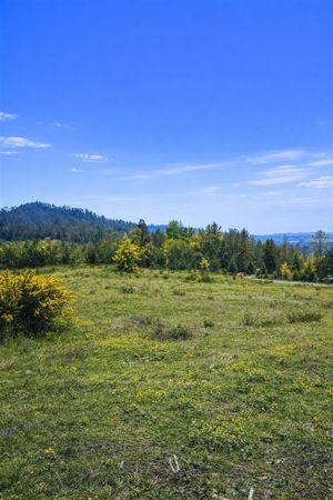 Parcela en Venta en Villarrica, La Araucanía, Villarrica, foto 4