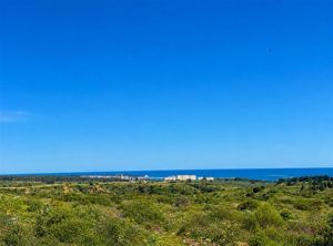 Parcela en Venta en Camino San Geronimo, Valparaíso, Algarrobo, foto 10