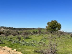 Parcela en Venta en h20, Bernardo OHiggins, La Estrella, foto 11