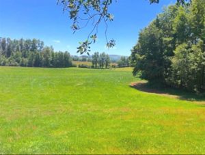 Parcela en Venta en v-26, Los Lagos, Frutillar, foto 7